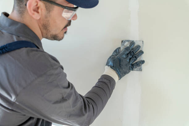 Best Wall Texturing and Painting  in Roswell, GA