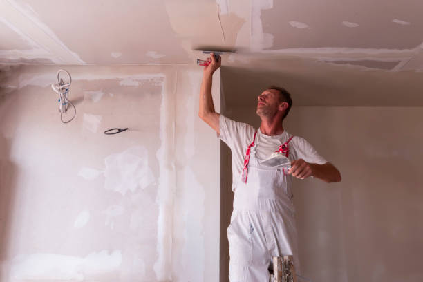 Best Custom Drywall Designs  in Roswell, GA